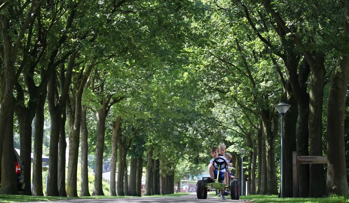 vakantiepark-de-twee-bruggen-winterswijk-dbj1f