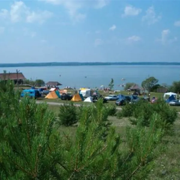 camping-pusele-zirgenai-j5tmm