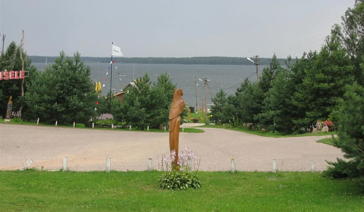 camping-pusele-zirgenai-zg95v