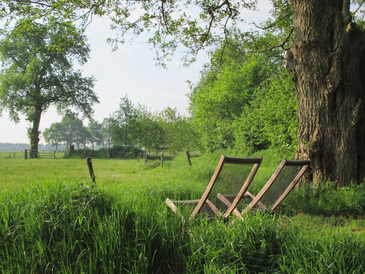 camping-de-boemerang-meppen-4kvgm
