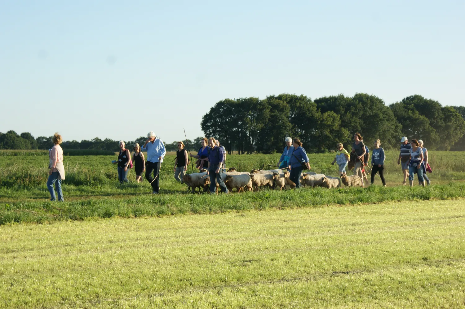 camping-de-boemerang-meppen-kjqmo