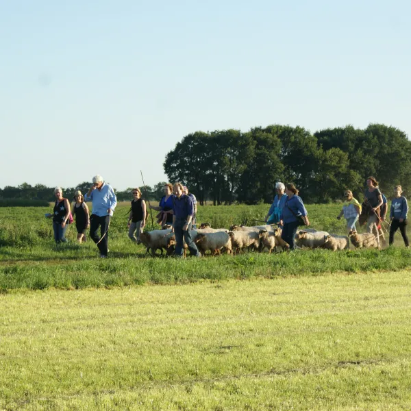 camping-de-boemerang-meppen-kjqmo