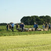 camping-de-boemerang-meppen-kjqmo