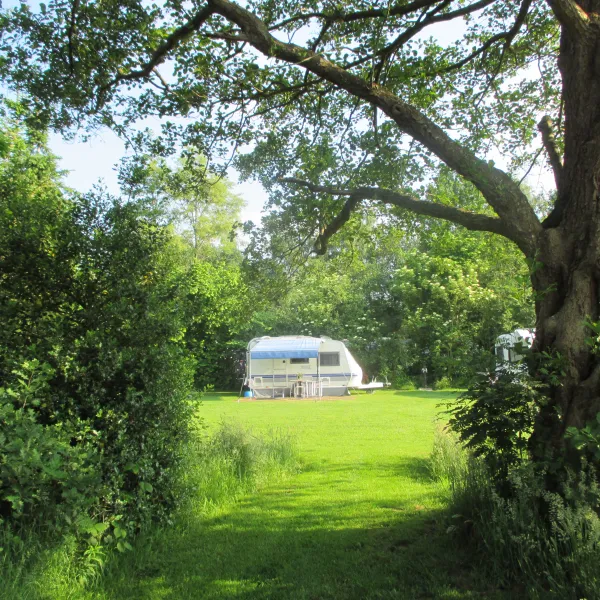 camping-de-boemerang-meppen-n3awm