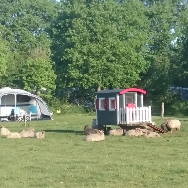 camping-de-boemerang-meppen-nkauh