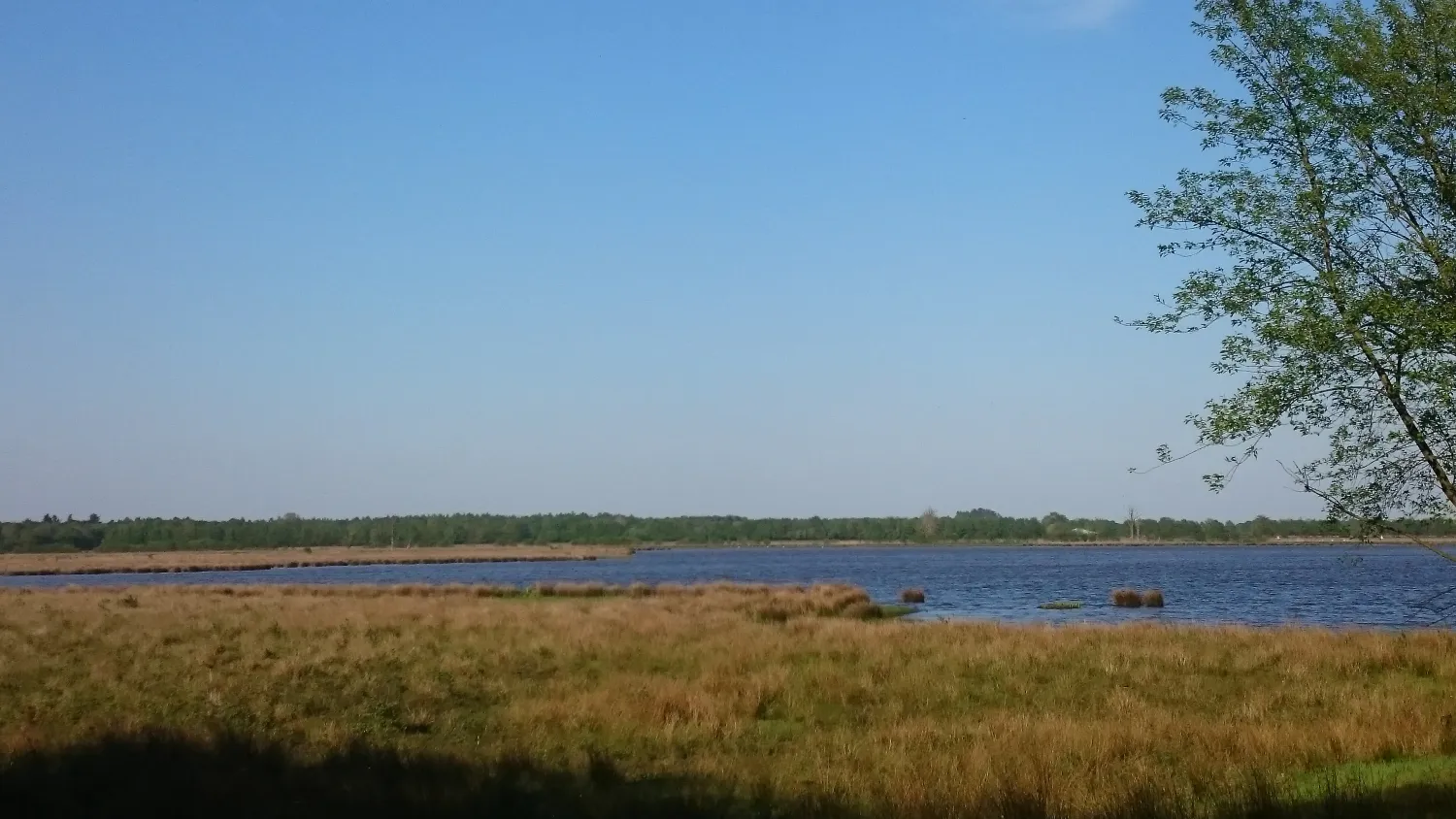 camping-de-boemerang-meppen-ttkwx