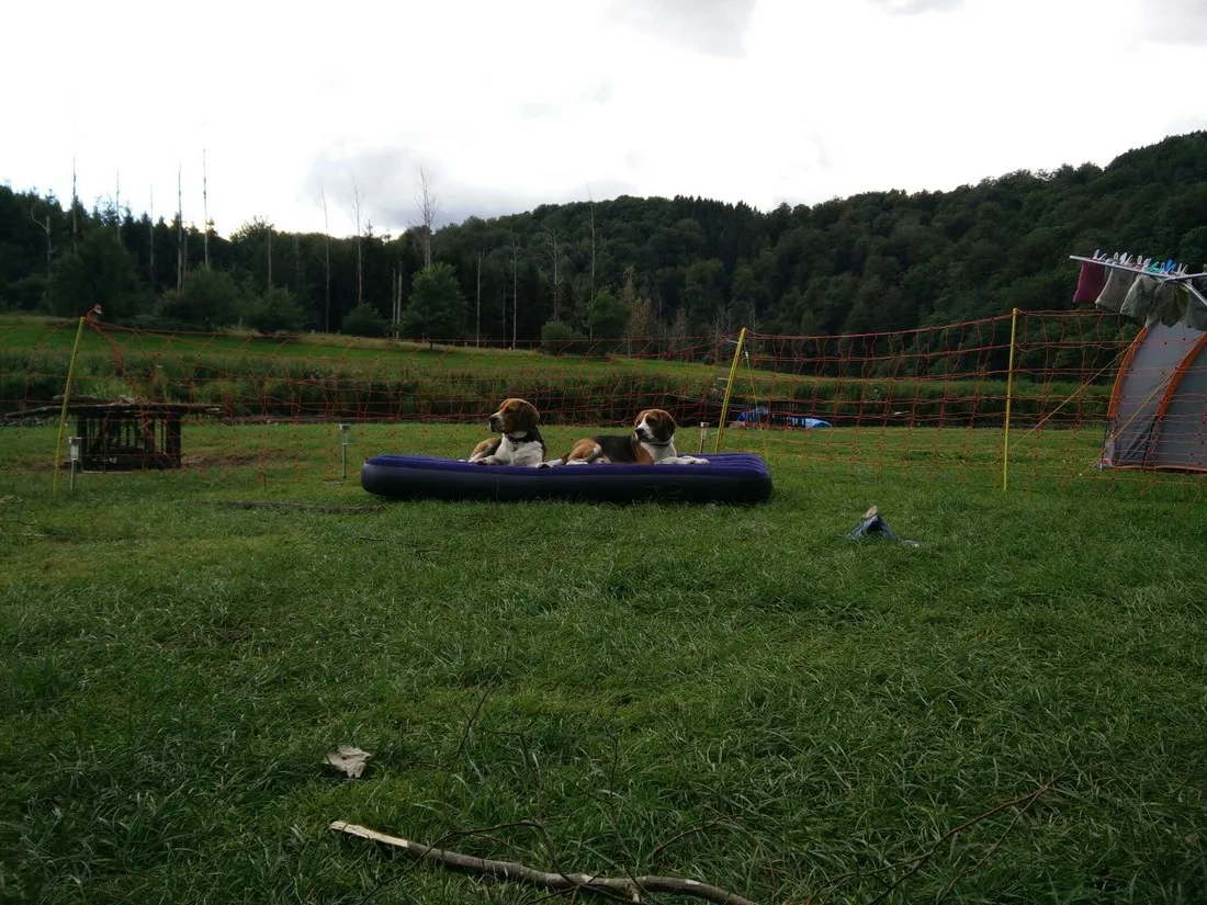 camping-saintremacle-cugnon-jpdv2