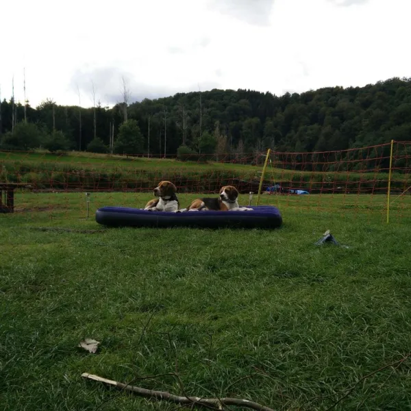 camping-saintremacle-cugnon-jpdv2