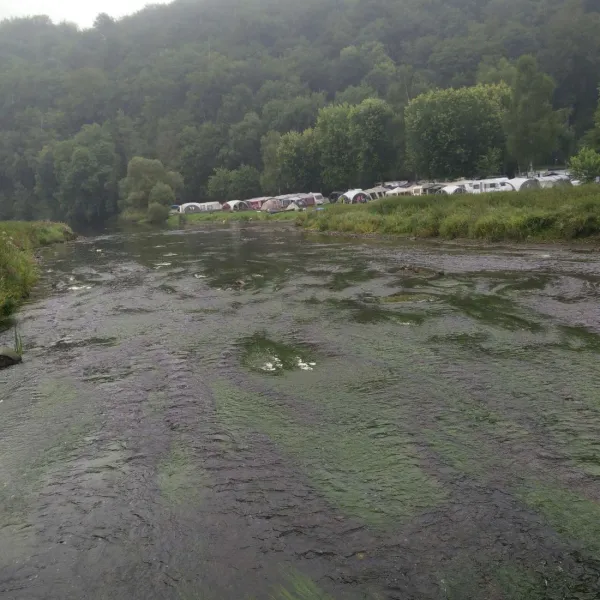 camping-saintremacle-cugnon-u8mdy
