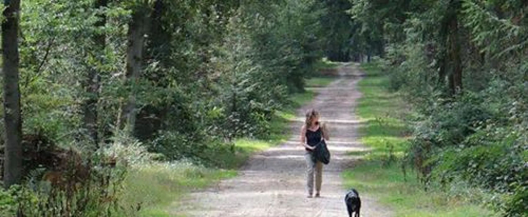 Camping De Bosrand
