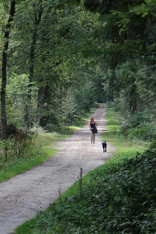 camping-de-bosrand-ellertshaar-mxtbh