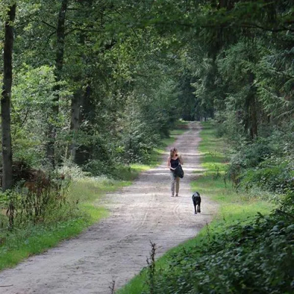 camping-de-bosrand-ellertshaar-mxtbh