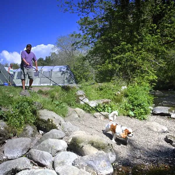 riverside-camping-caernarfon-thoru