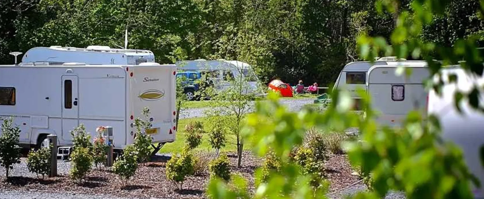 Riverside Camping