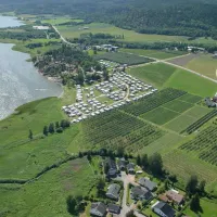 Homannsberget Camping