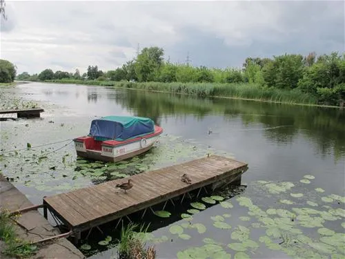 camping-elblag-elblg-43iym