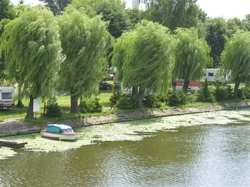 camping-elblag-elblg-dgpuf