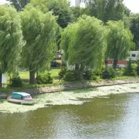 camping-elblag-elblg-dgpuf