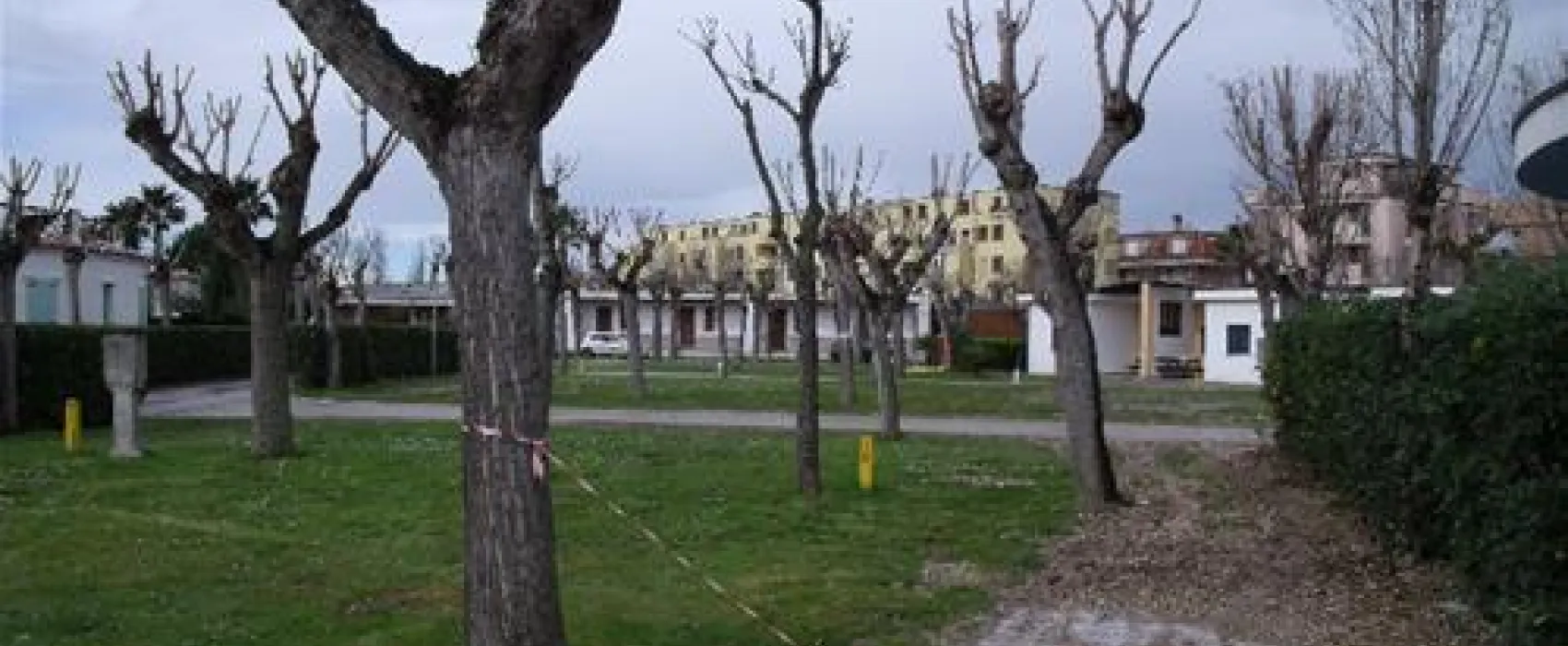 Campeggio Le Mimose