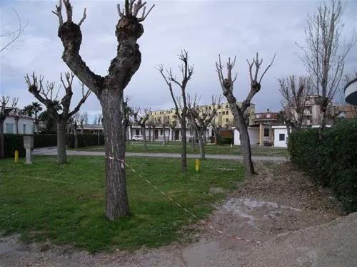 campeggio-le-mimose-porto-s-elpidio-visw7