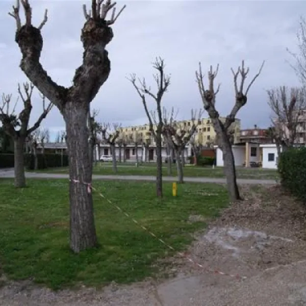 Campeggio Le Mimose
