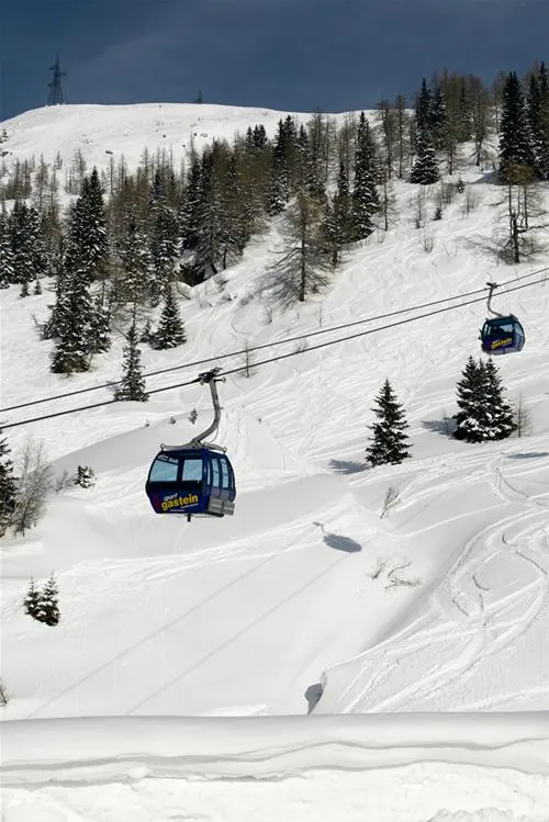 kurcamping-und-appartementhaus-erlengrund-bad-gastein-nap3y