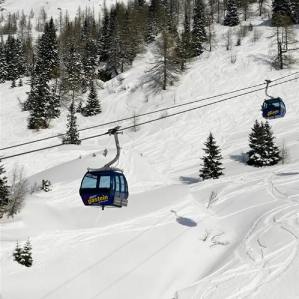 kurcamping-und-appartementhaus-erlengrund-bad-gastein-nap3y