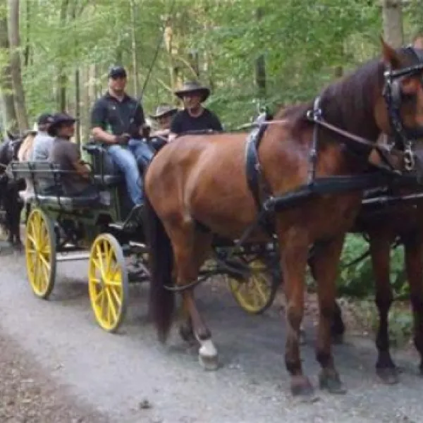 sulmtal-camp-plfingbrunn-buqj8