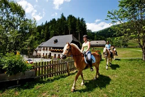 camping-olachgut-st-georgen-ob-murau-ijiau