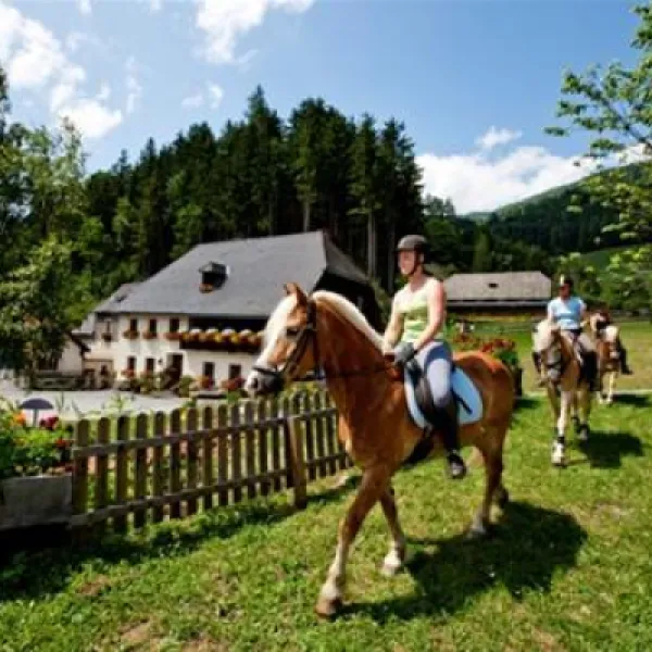 camping-olachgut-st-georgen-ob-murau-ijiau