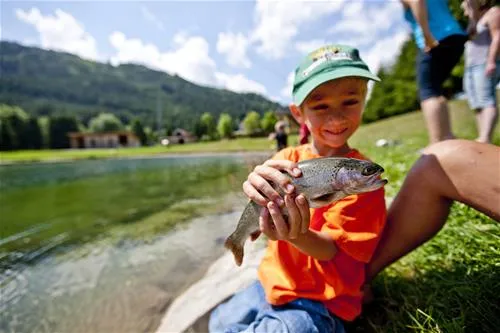 camping-olachgut-st-georgen-ob-murau-z7eqt