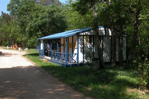 tossa-tossa-de-mar-00xq2