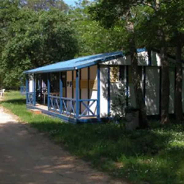 tossa-tossa-de-mar-00xq2