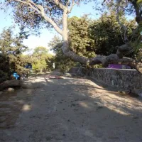campeggio-sardegna-sant-anna-arresi-azes0