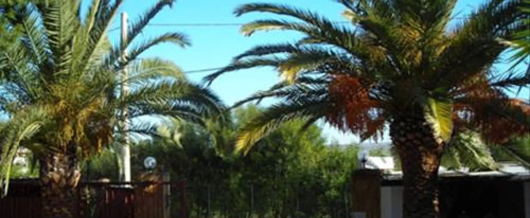 Camping La Palma