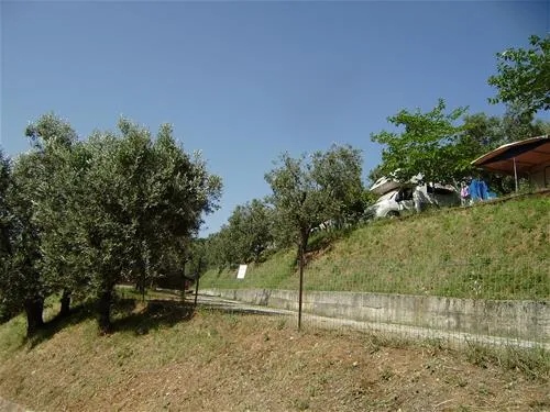 campeggio-blucamp-campiglia-marittima-c9mik