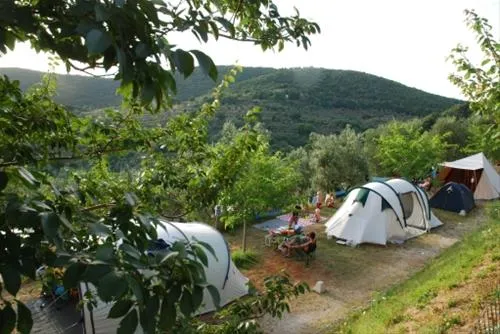 campeggio-blucamp-campiglia-marittima-qyihf