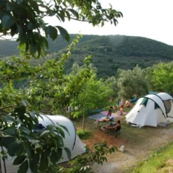 campeggio-blucamp-campiglia-marittima-qyihf
