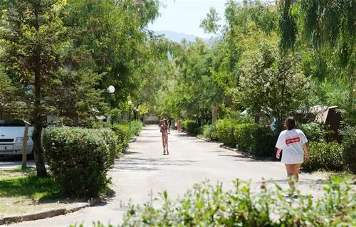 camping-karavomilos-beach-sami-afniz