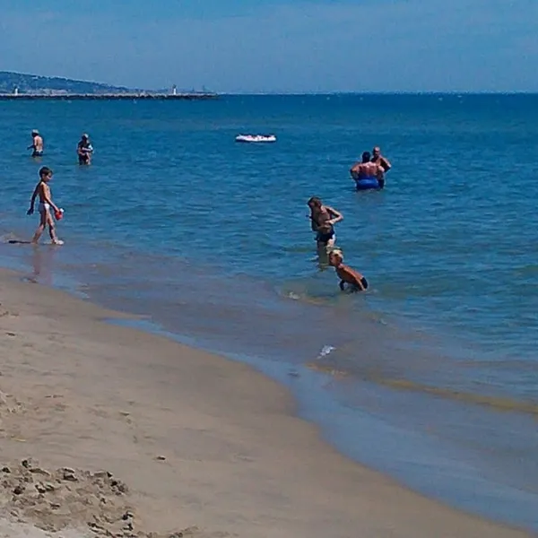 la-creole-camping-marseillan-po5r8