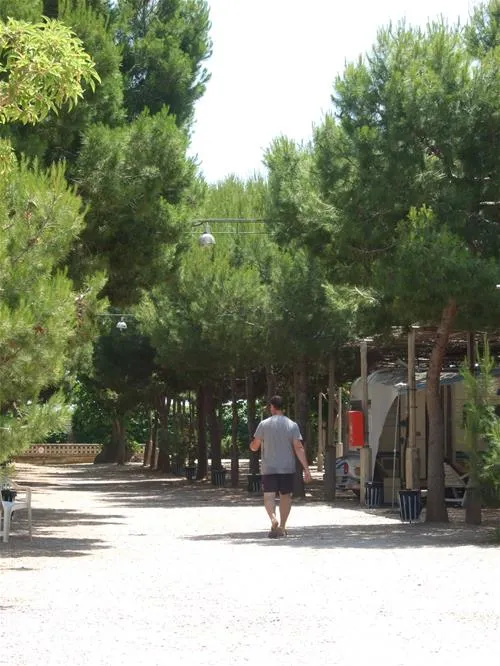 camping-la-plana-creixell-f3hod