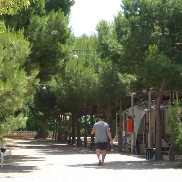 camping-la-plana-creixell-f3hod