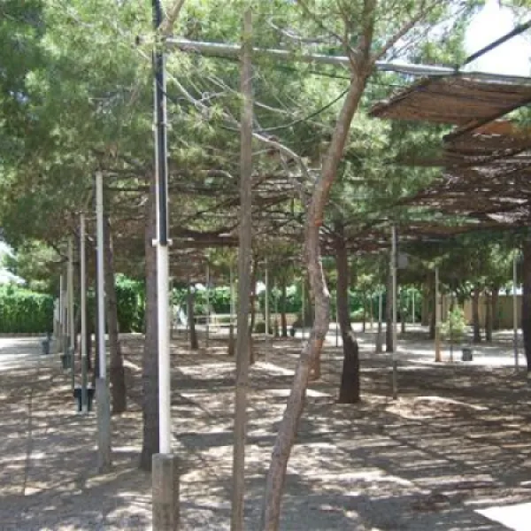camping-la-plana-creixell-q0iud