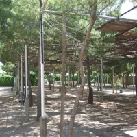camping-la-plana-creixell-q0iud