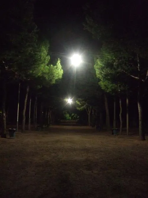 camping-la-plana-creixell-ucpff