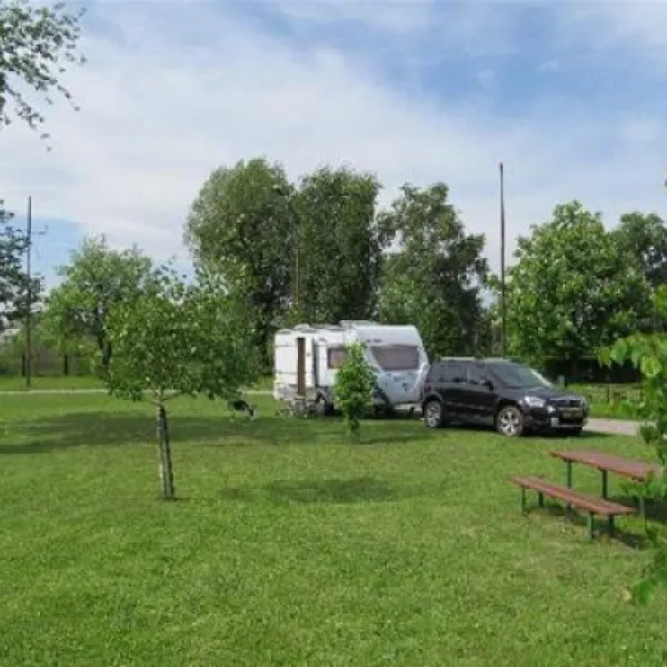 camping-nr-87-nowy-scz-zza8z