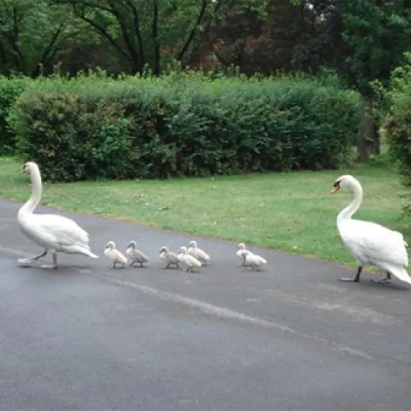 camping-municipal-epernay-epernay-cwv7x