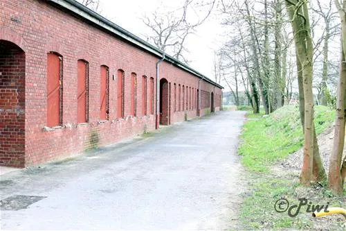 campotel-aktiv-entspannen-bad-rothenfelde-h1qj0