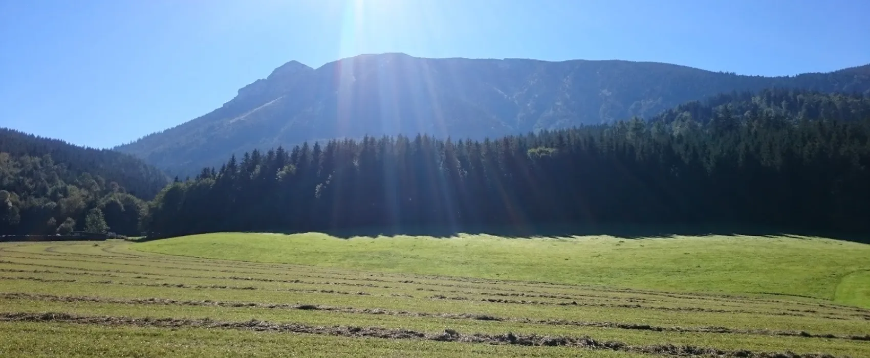 Ötschercamping