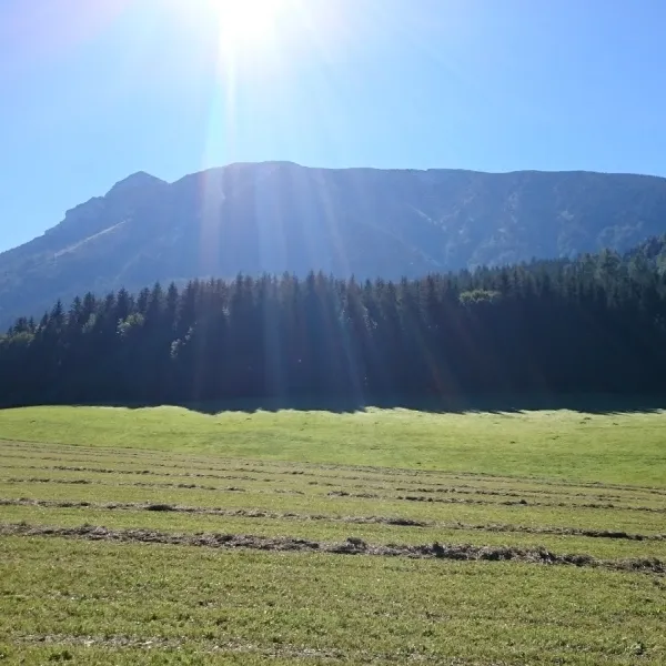 Ötschercamping